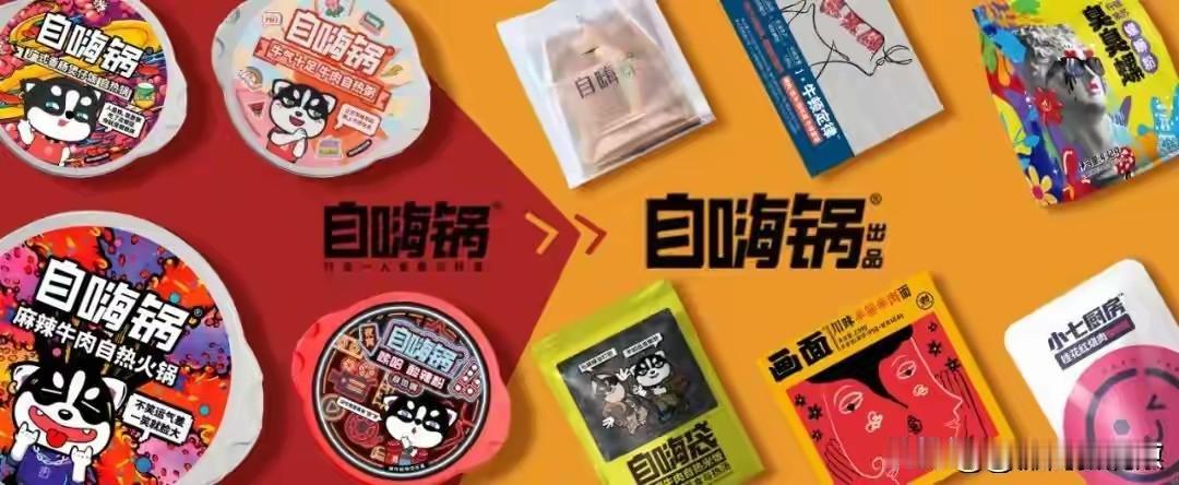 曾经火遍大江南北的自嗨锅，如今竟走到破产审查这一步，真是让人唏嘘。2020年，它