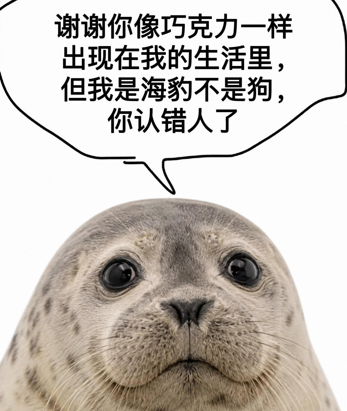 时常露出这样的海豹神态 