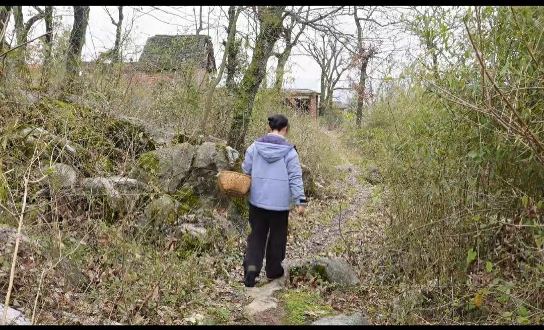 有粉丝说：我好羡慕你那样的山居生活啊！自由自在，无拘无束，也有粉丝说：我一点也不