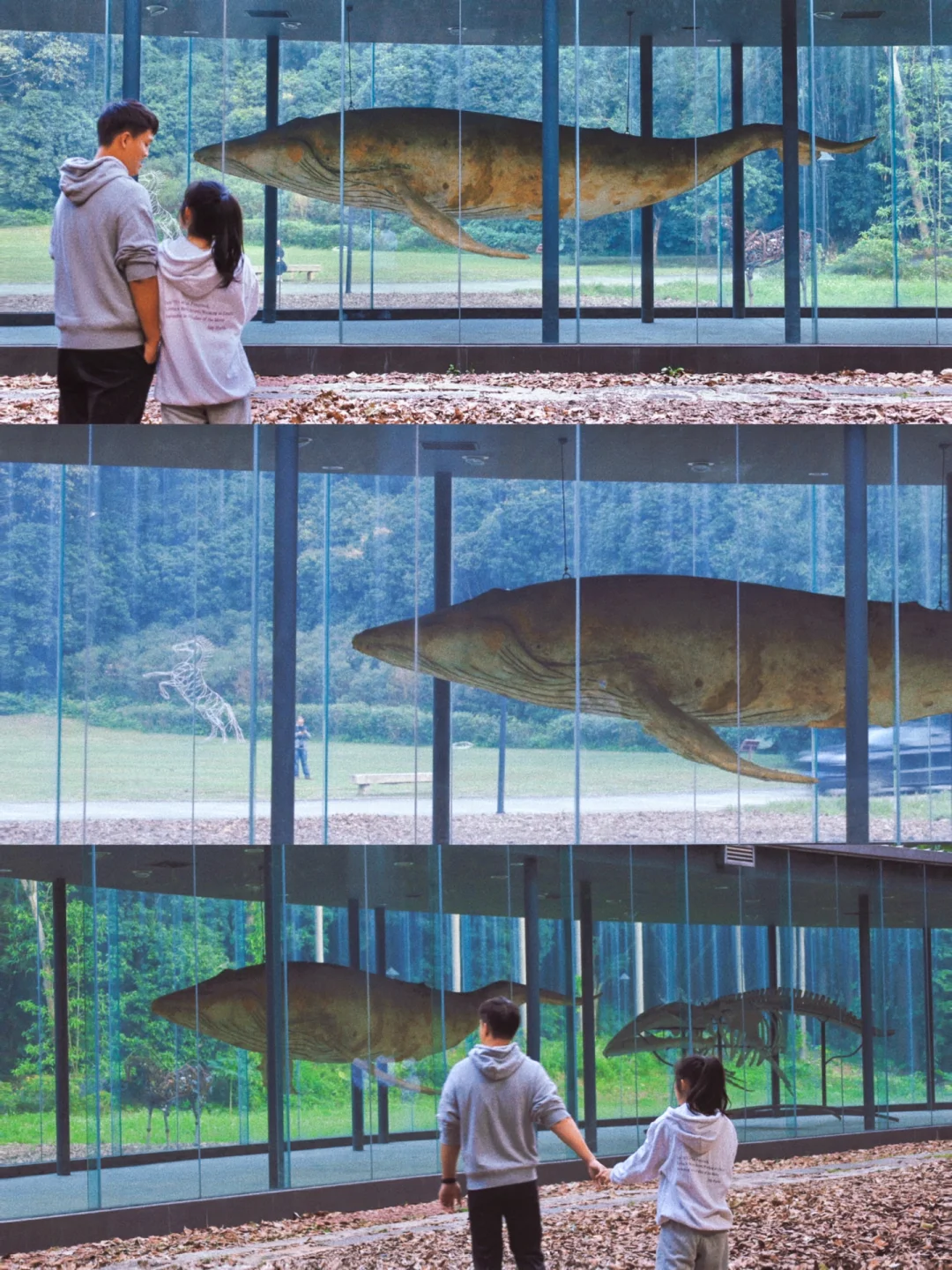 广州私藏的电影感公园🎬科幻🤖️森系🌳浪漫