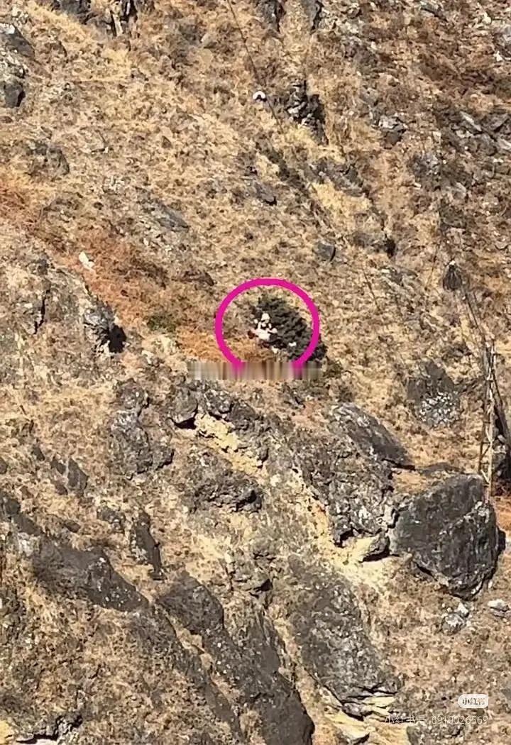 带孩子徒步出事了😱😱 