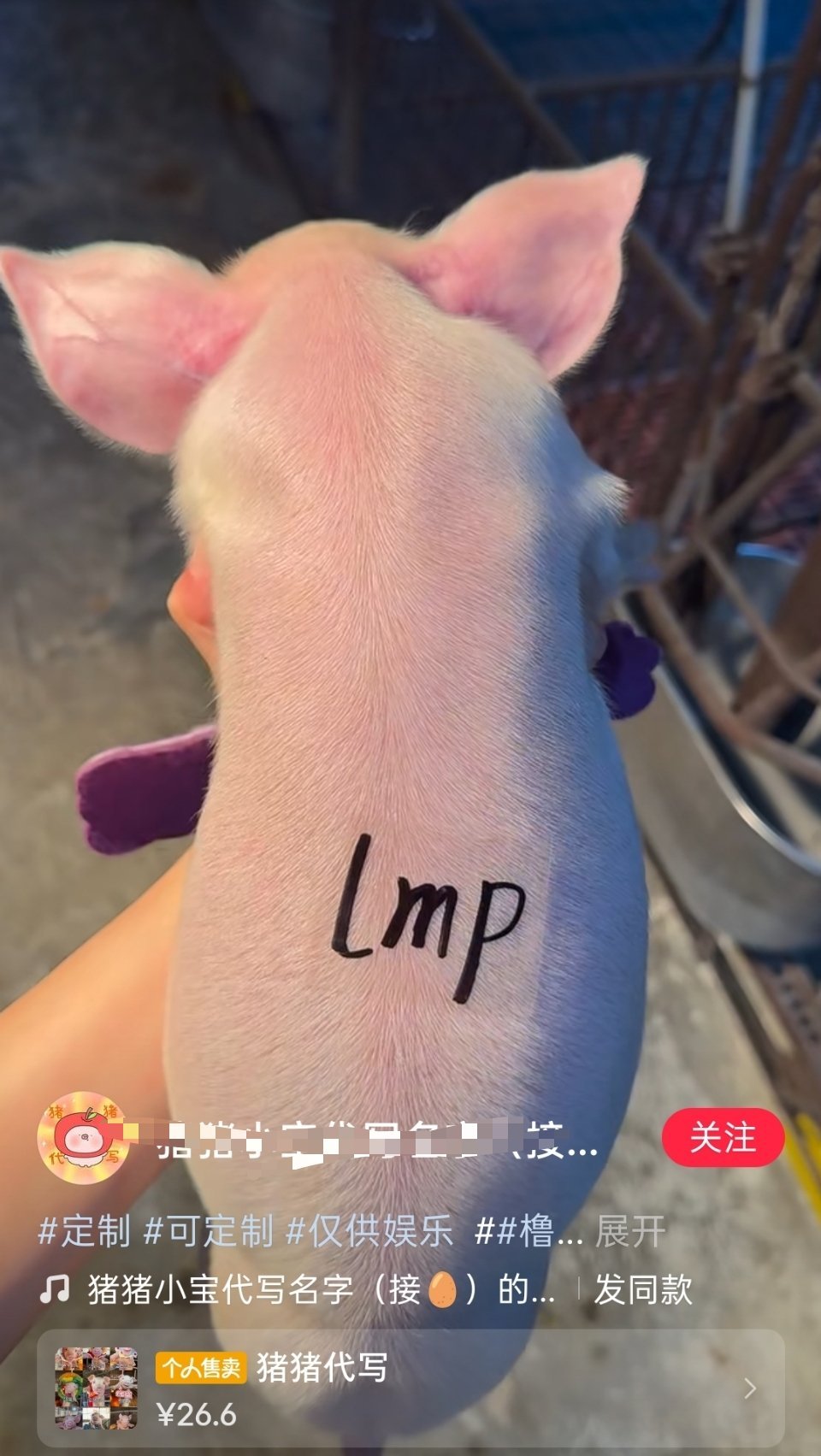 tgLMP怎么还投稿自己是㊗️啊 