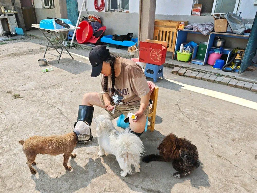 河南残疾女子收养382只猫狗，卖房耗尽积蓄坚持20年；当过主持人，曾在政务单位工