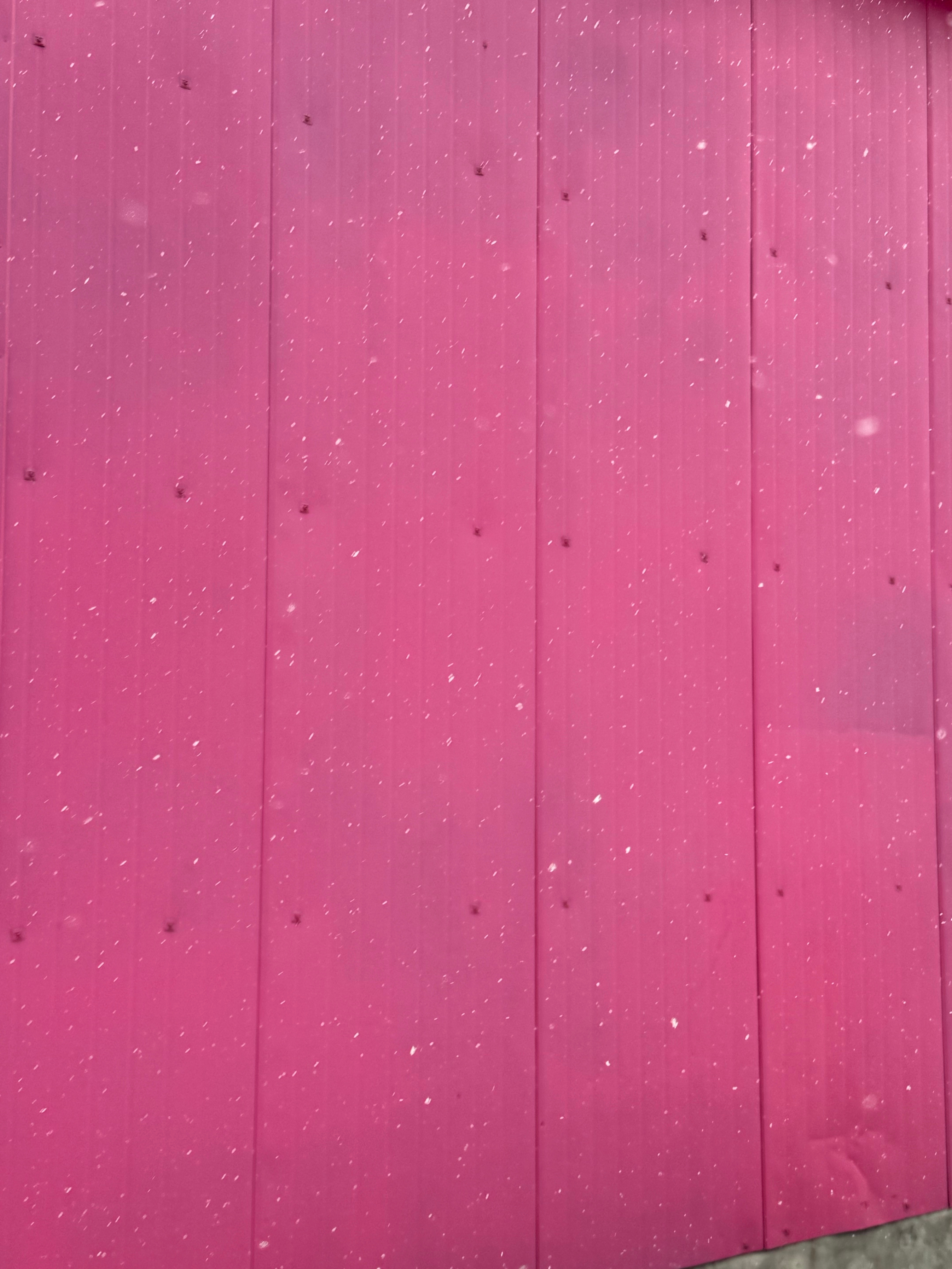 瑞雪兆丰年 北京