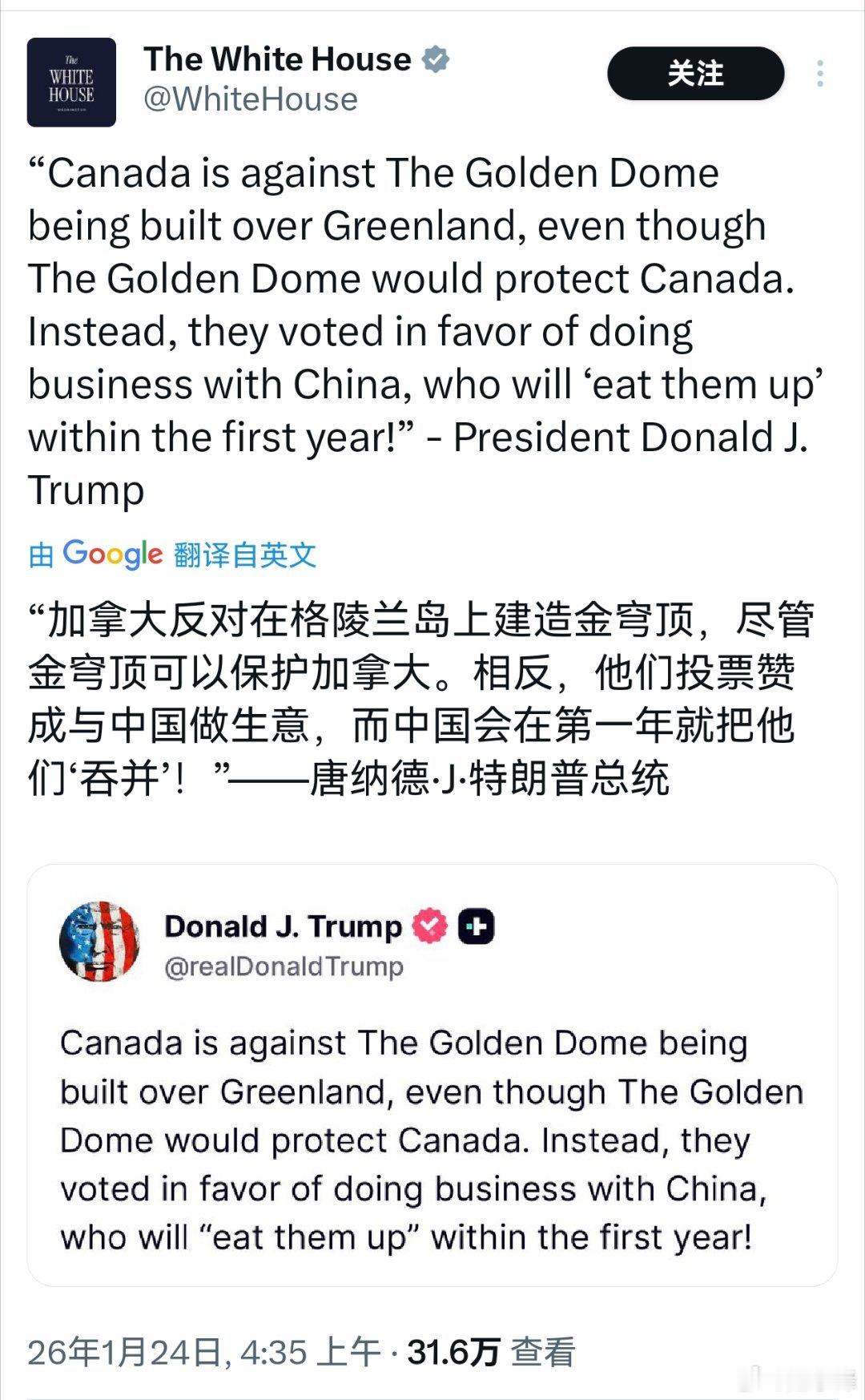 哈哈哈，大金毛 