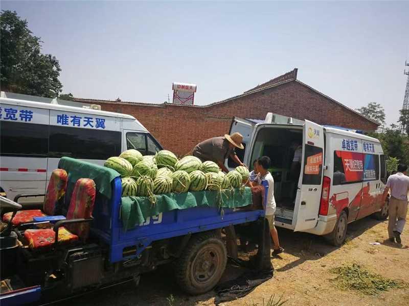 旱塬结出 “甜蜜果” 乡村蝶变 “幸福花” ——中国电信咸阳分公司驻村帮扶促振兴