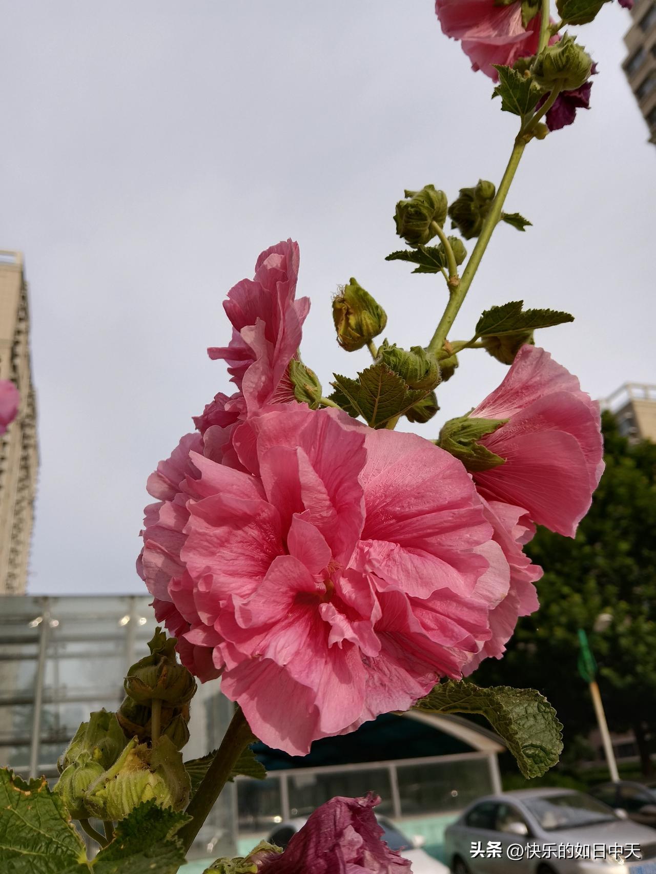 顶级的人性现实
1．缺钱的人，都不小气，小气的人，都不缺钱。

2．有本事的人，