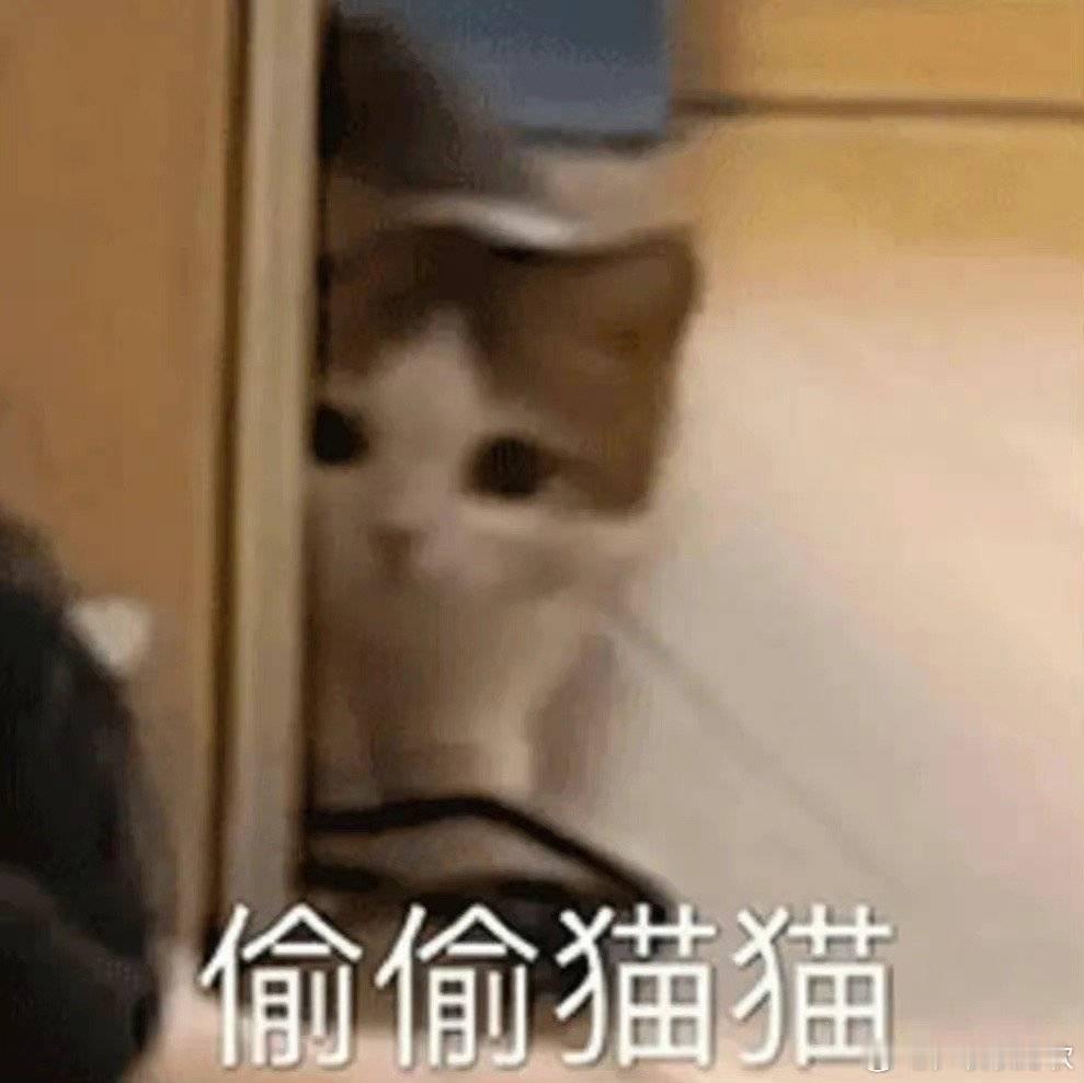 有时候还是会觉得有代沟[开学季]毕竟咪当年冲浪的时候大大们都喜欢用颜文字还有很多