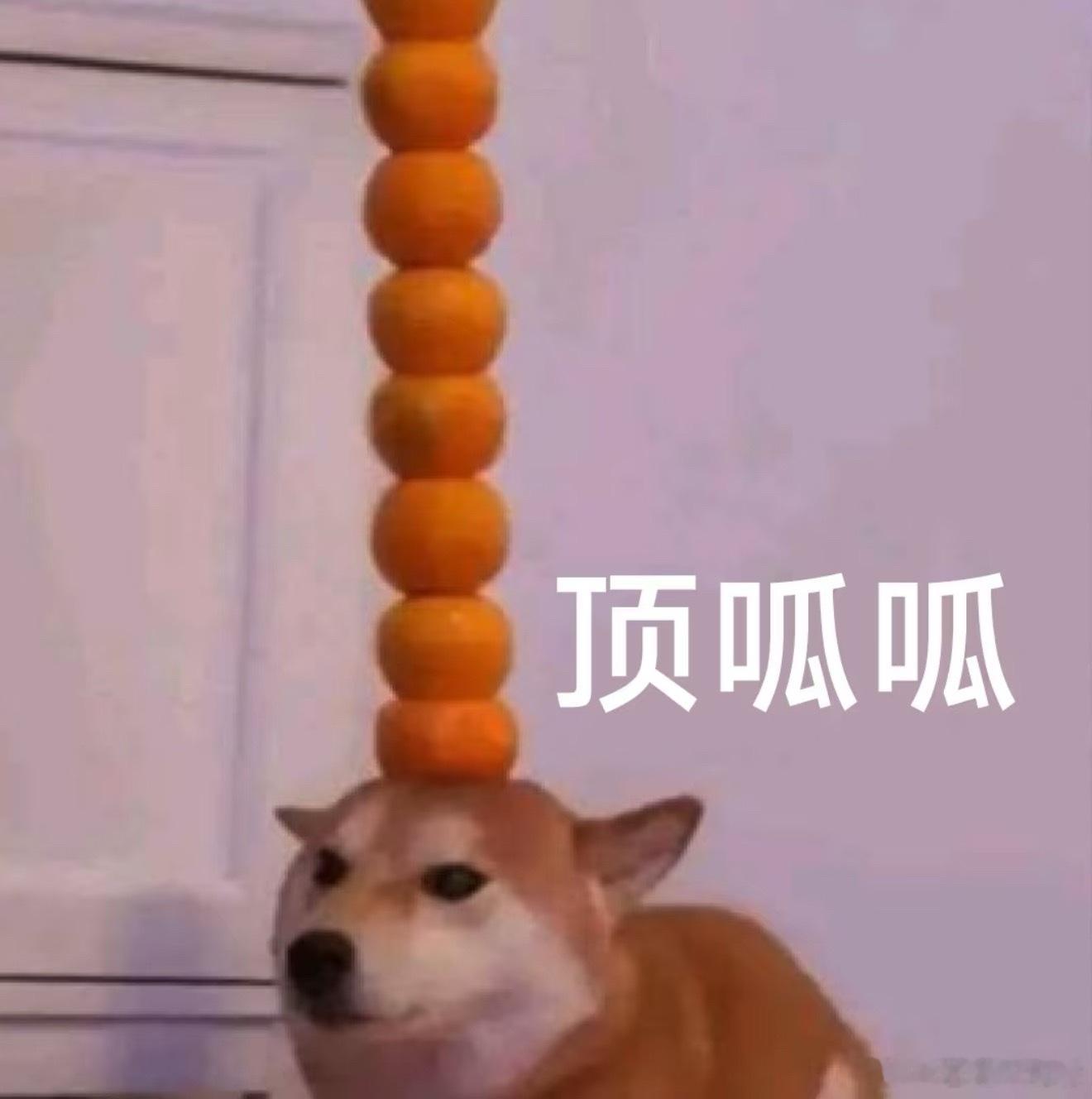 没看过《低智商犯罪》的快去看悬疑+搞笑哈哈哈每个角色都塑造得很好感觉是我今年唯一
