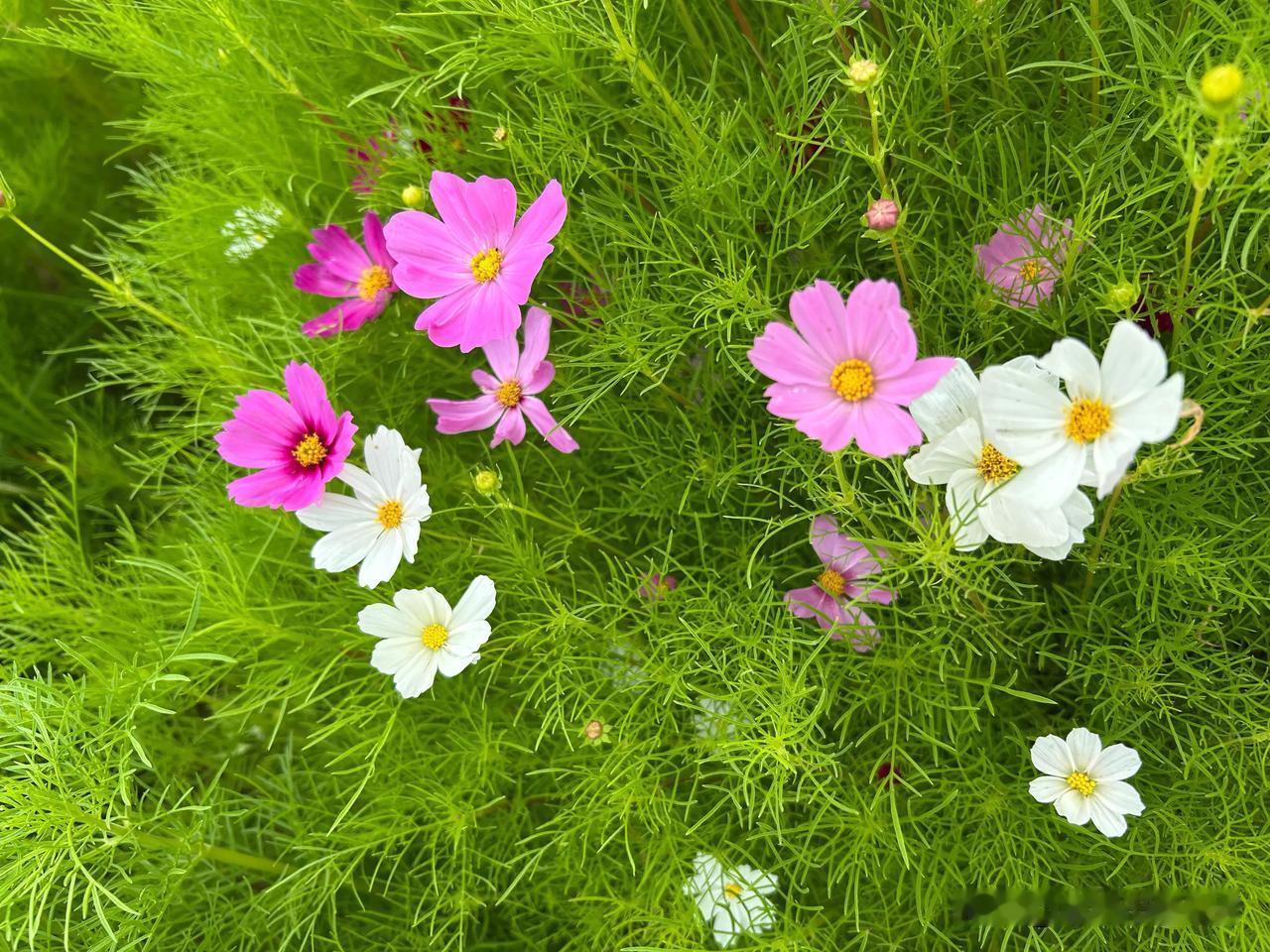 孩子是家庭的希望，更是祖国的未来，教育问题从来都牵动着每个家庭的心。

在日常生