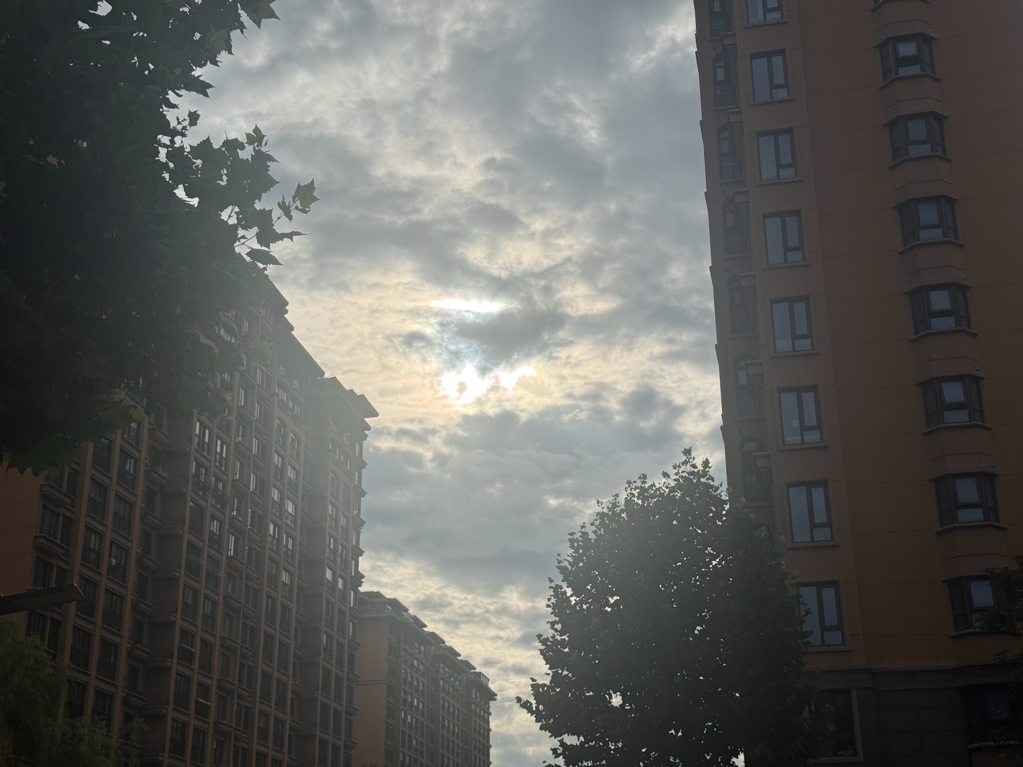 跑步  跑步日记：2026年7月6日星期一，每天跑步一公里，连续跑步打卡-第23