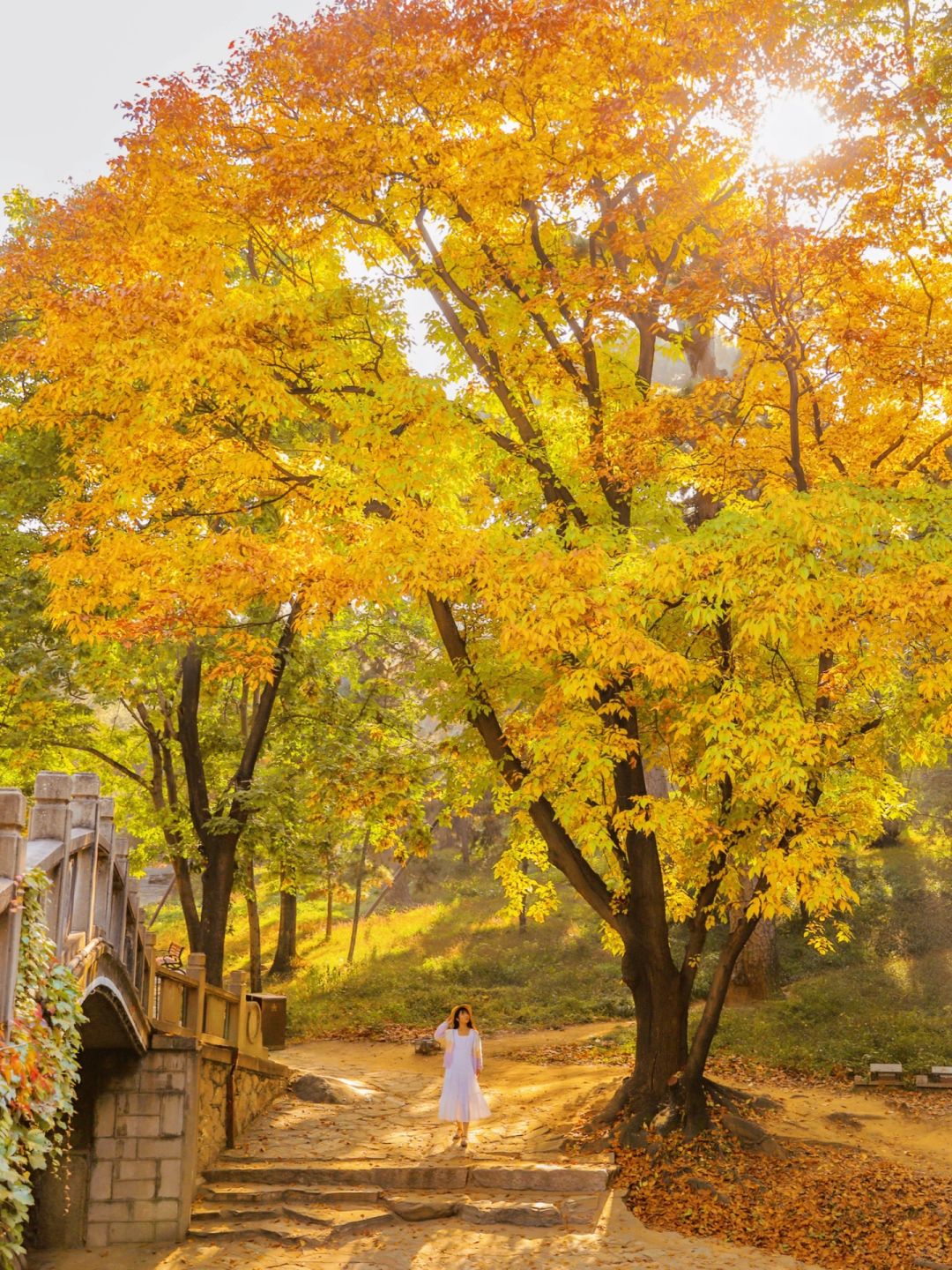 秋天来北京只去一个地方🍂建议选颐和园！