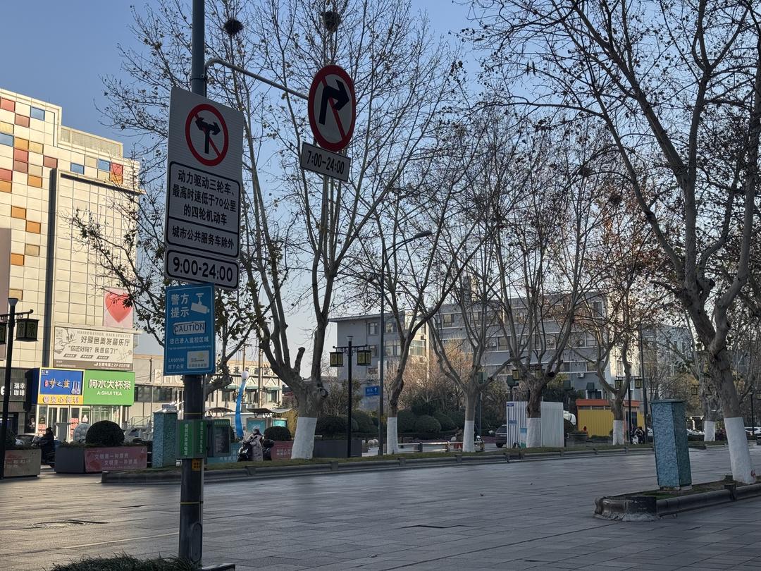 济南今日起在天下第一泉景区周边禁行“花车”