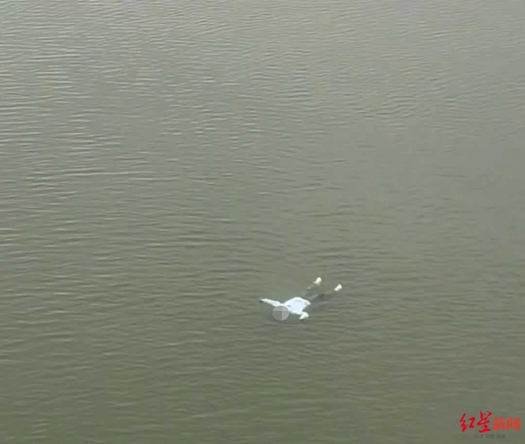 #女孩落水后想起看过的视频自救成功#【危急时刻，她想起曾看过的自救视频！女子落水