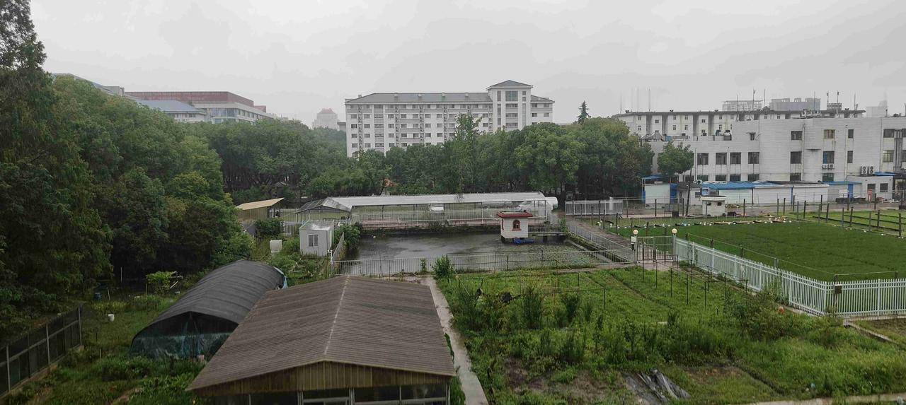 我的今日状态：😁轻松愉快
我这里的天气：🌧下雨