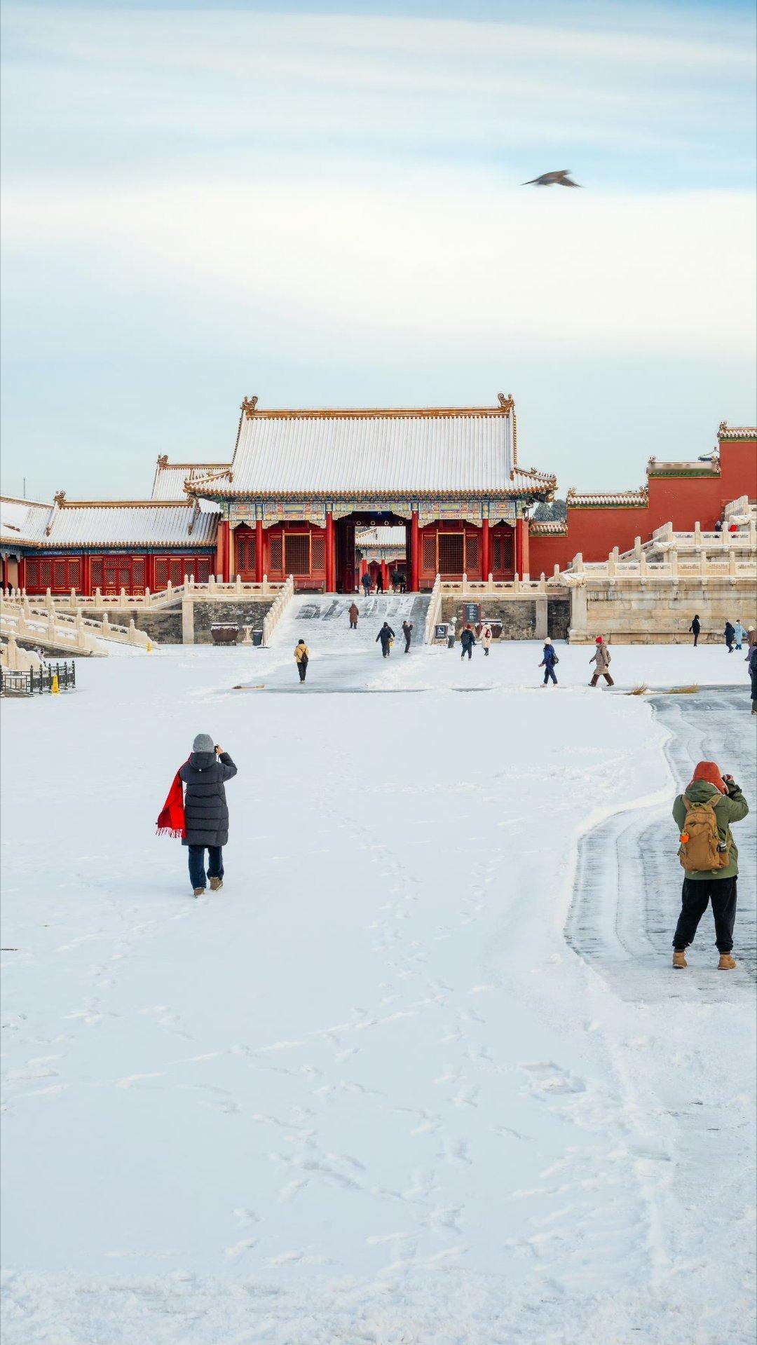 北京下雪北京2026年第一场雪 打开窗帘看到外面真的在飘雪花，但目前还不是太大，
