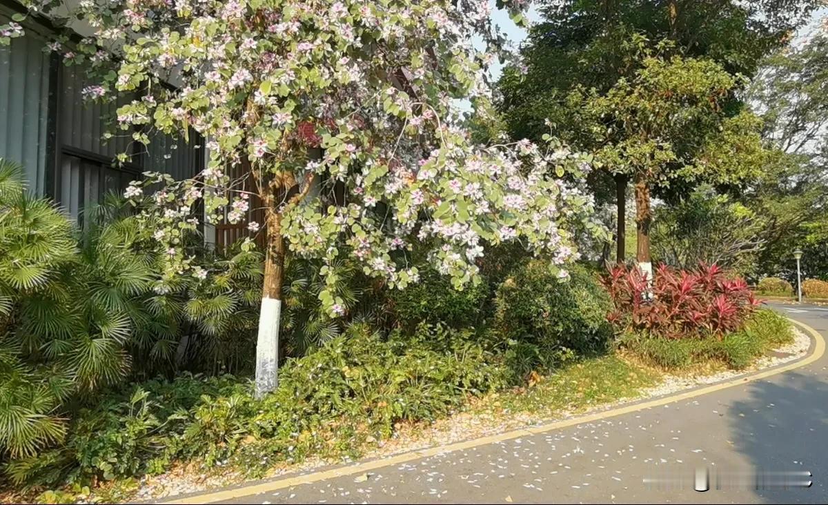 一个人的最大智慧是什么?
都说聪明人不少见，但真正活得通透的人，往往不是那些算计