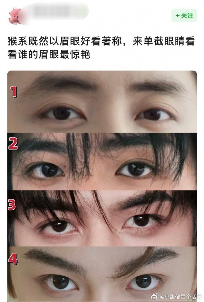 动物系里的觉得哪个好看 ​​​