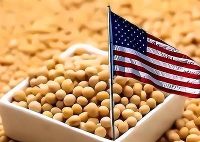 特朗普美豆牌彻底打烂！中国履约后秒锁巴西，这波操作全是门道
 
特朗普想靠大豆订