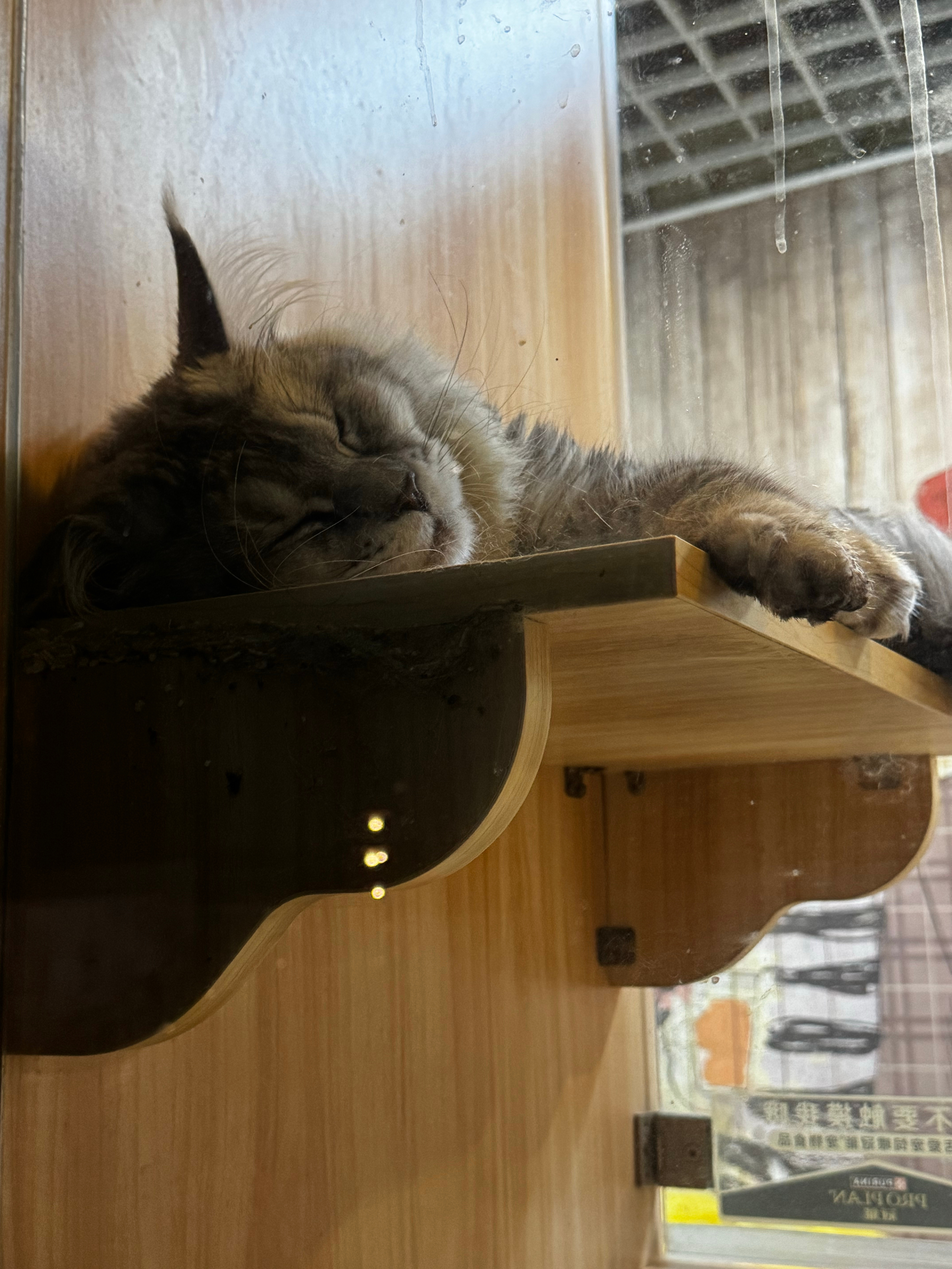 假期每天的我💤 ​​​
