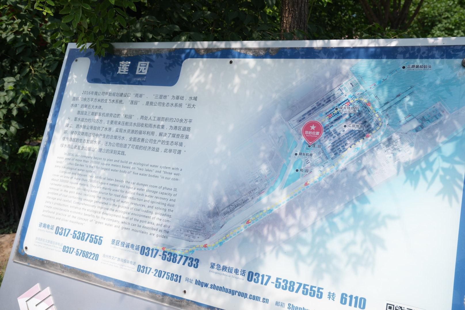 创新狮城点亮河北城市魅力河海狮城产业兴文武沧州启新程探访国能黄骅港莲园：藏在港口
