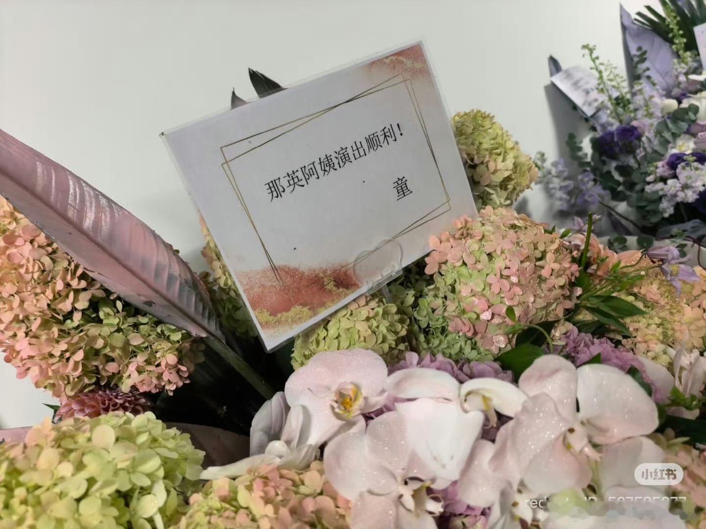 那英人脉这一块 圈内半壁歌坛来捧场！王菲、窦靖童、张碧晨、沙宝亮、刘宇宁为那英演