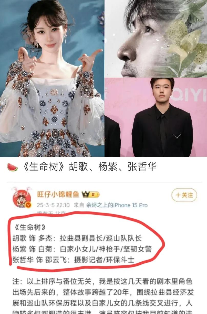 鼓掌👏🏻，遛了那么久的《生命树》终于选定角色了！

女主不变，还是杨紫，男主