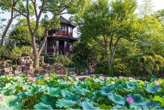 苏州园林四季最佳观赏时间表
 
按春夏秋冬梳理核心园林、特色景致及最佳观赏期，精