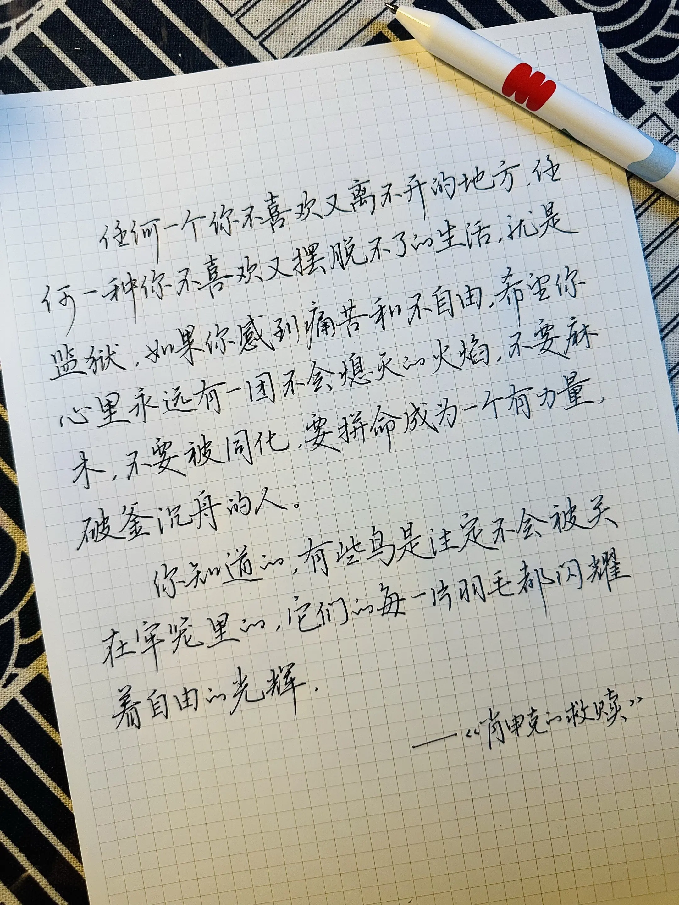 “有些鸟是注定不会被关在牢笼里的”他们的每一根羽毛都闪耀着自由的光辉