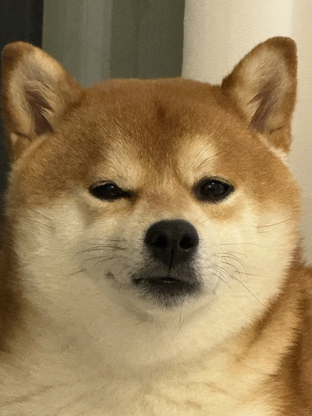 狂少