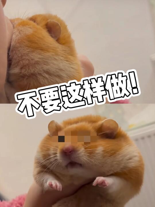 虽然很可爱 但心梗了1秒