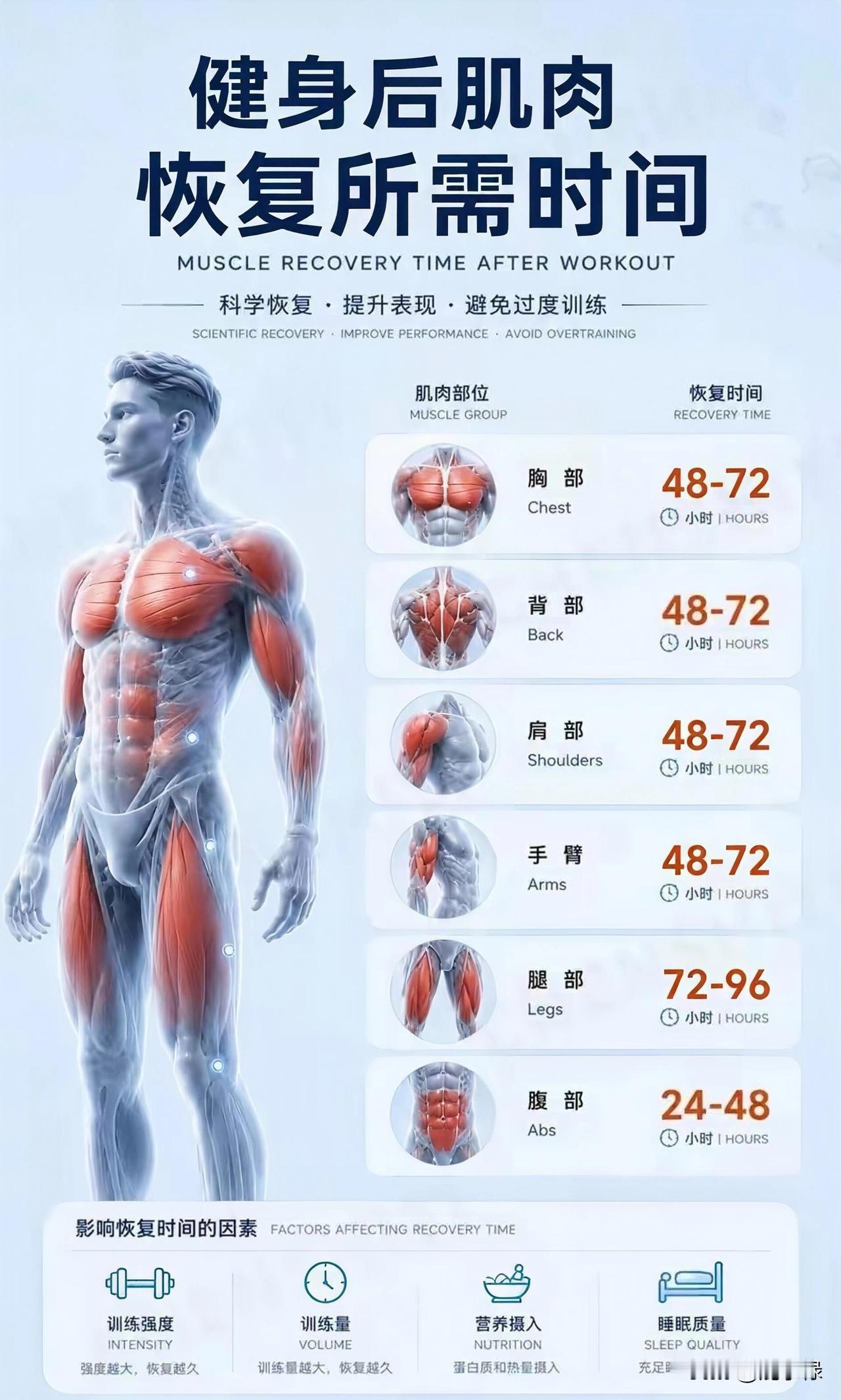 晒图笔记大赛健身后肌肉恢复需要的时间