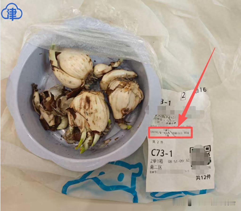 家里老人不识字，能避免网购，却有时会给子女网购造成麻烦。1月2日中午，北京周女士