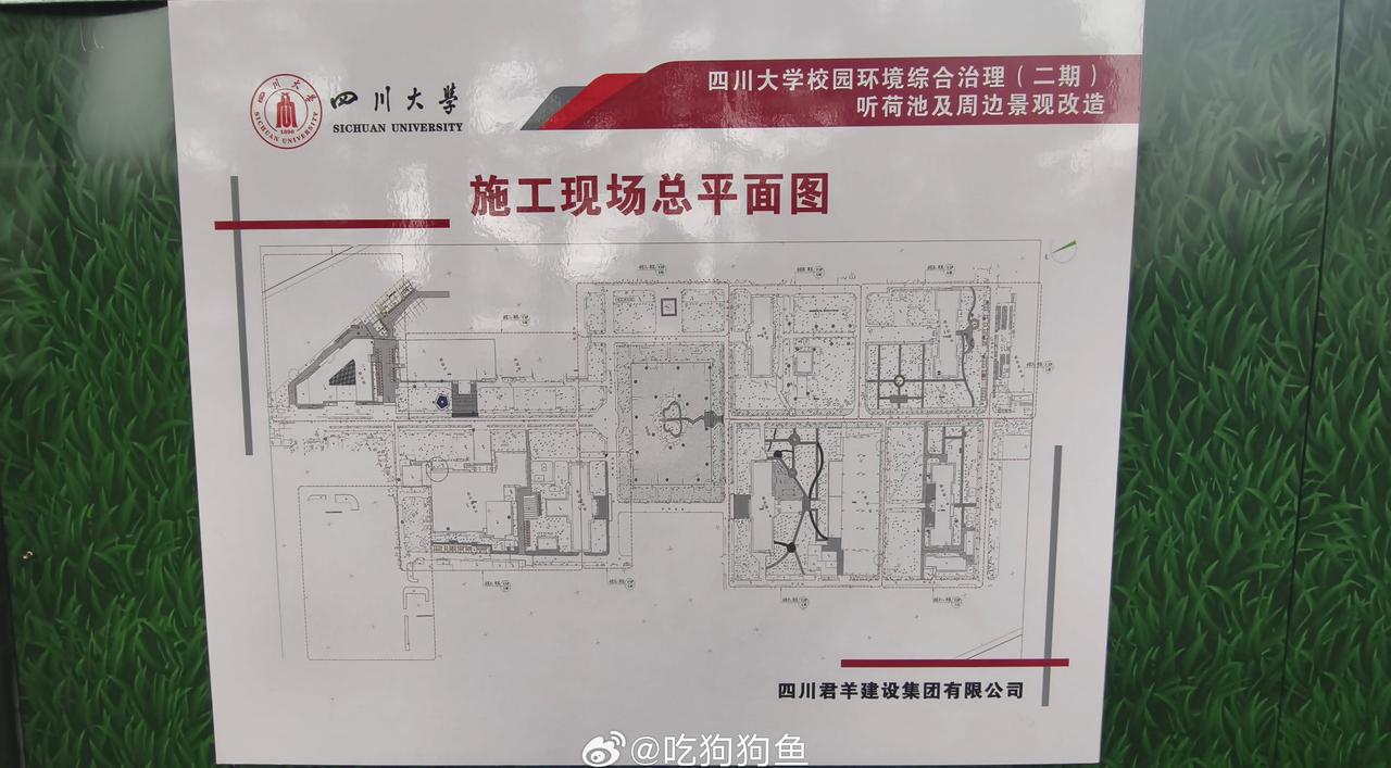 这个秋迁，就在这场秋雨中结束了吧我的日常plog川大观鸟 ​​​