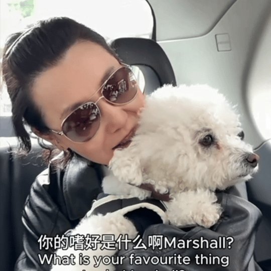 张曼玉牵狗上班曼神上班带小狗充电🔋 毛茸茸同事才是最高配的办公搭档吧 