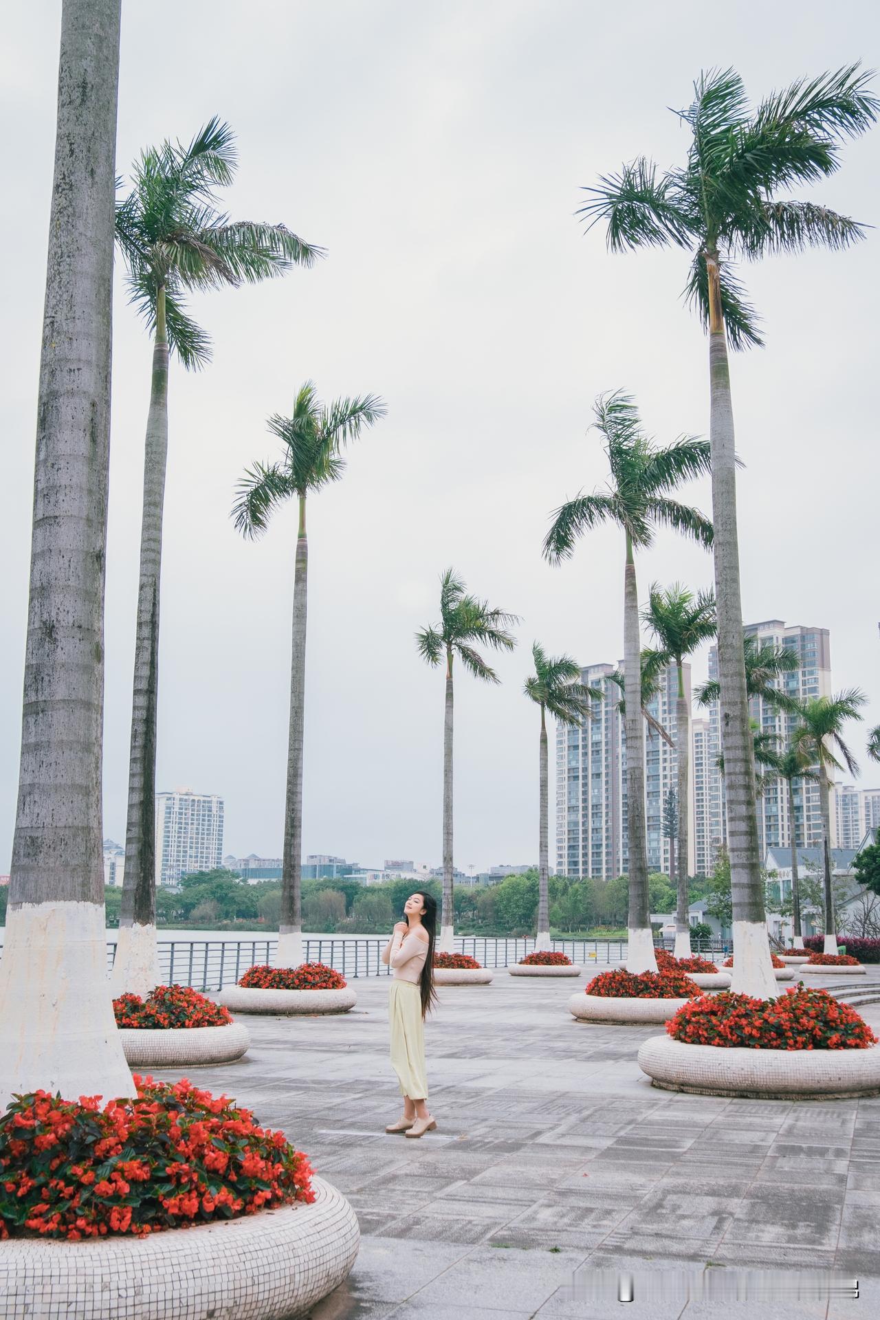 自驾广西｜愿风带我去钦州白石湖公园

在钦州自驾行，沿着钦江往下游，我们来到白石