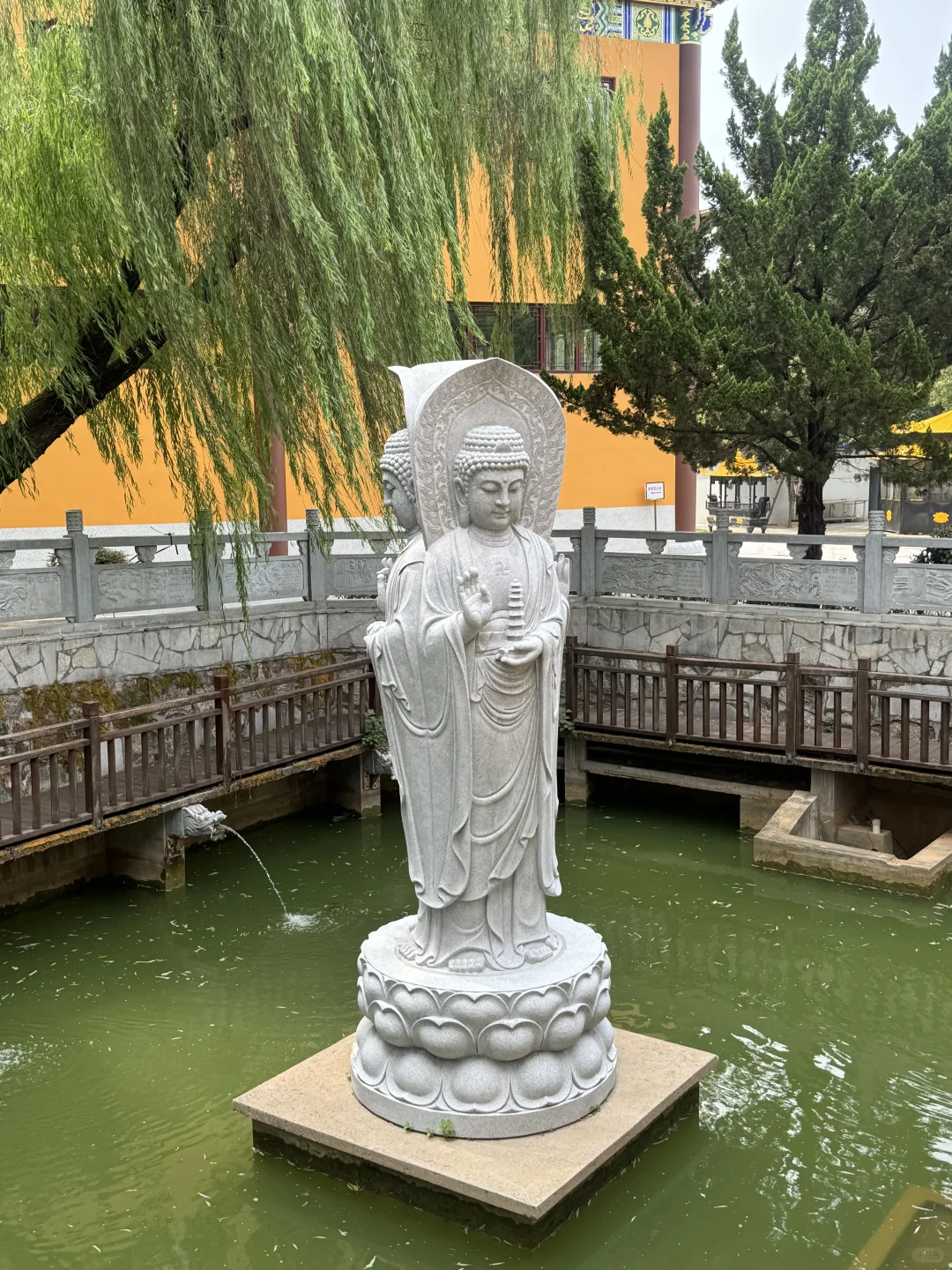 我不允许还有人不知道这里！！这里拍照打卡绝