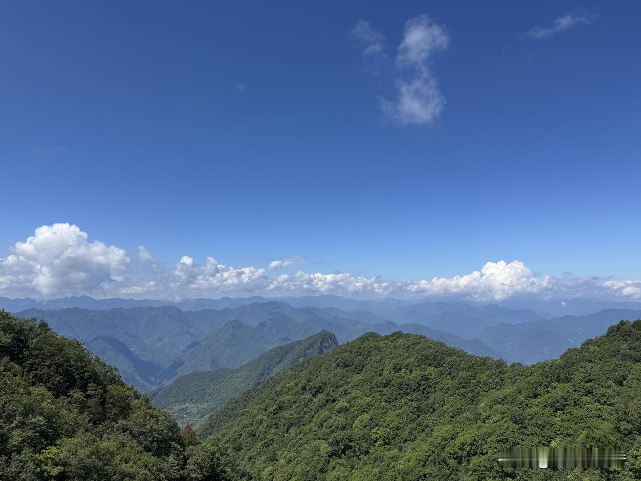 有关两个贸易体之间的信息，均不能通过哦！
图  早随拍