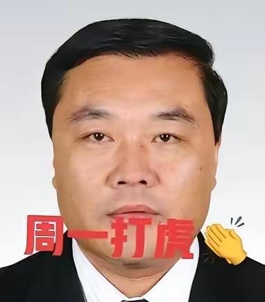 刚退休没几年被查了
64岁的展宝卫是山东东平人，中国科学院大学管理学专业毕业，有