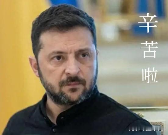 困了累了，就好好歇息吧！据乌总统办公室透露，俄乌“和平计划”将在12月15日前签