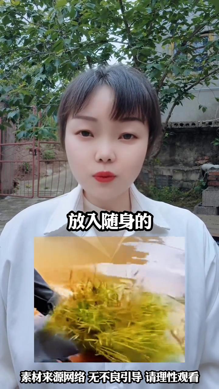 野草下的黄金。
河边大石上一株野草长得生机勃勃，男子好奇地走过去查看，起初还以为