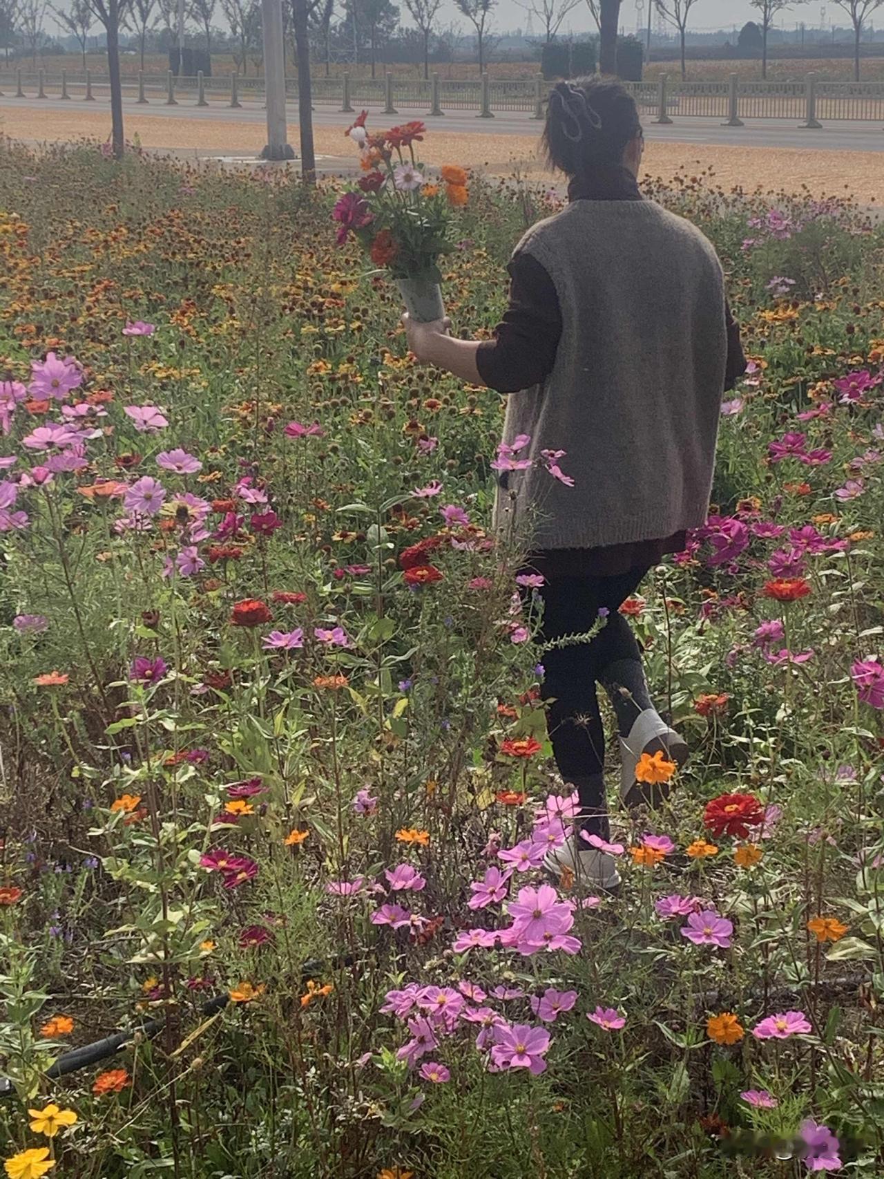什么样的人才会得腰突？观察了身边的突友们，不就是要强的人，爱操心的人和太勤快的人