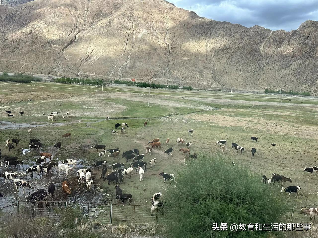 父母的焦虑：

小学时，怕上不了好初中
初中时，怕考不上高中；
高中时，怕考不上
