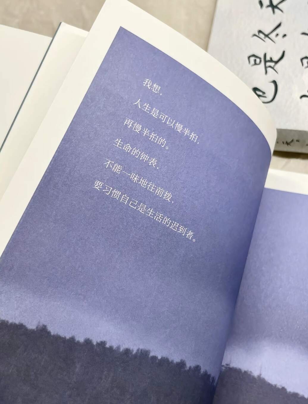 一些被文字击中的瞬间 