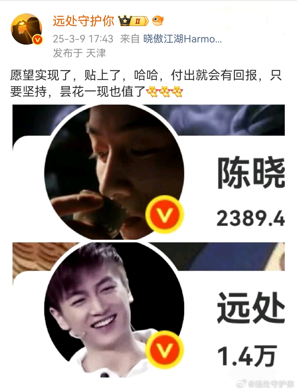 去年的今日红的，以为会是昙花一现，意外的坚持一年了