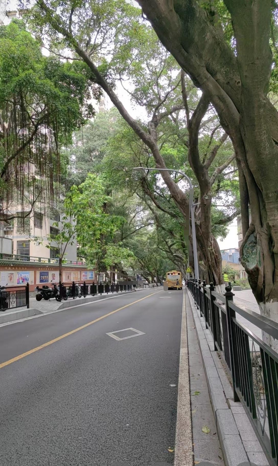 闹市中心.，静中带旺，空气清新。今天下午因业务需要路过这里，一时兴起来了个绝美随