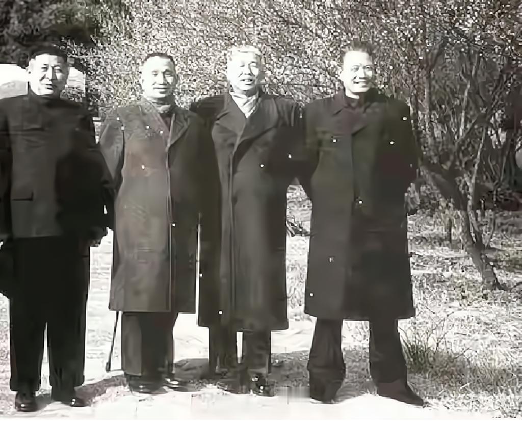 1961年的南京梅花山，留下了四位开国将军英姿飒爽的合影。钟期光、粟裕、王平与张