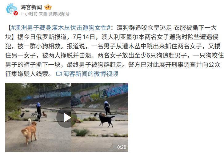 “教科书级操作！”7月15日报道，澳大利亚墨尔本，两名女子遛狗时遭遇色狼侵犯。危