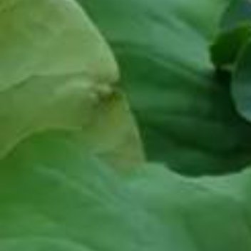 正能量正能量 不懂得拒绝的人，即使把自己累死，也不会得到别人真正的尊重。因为在那