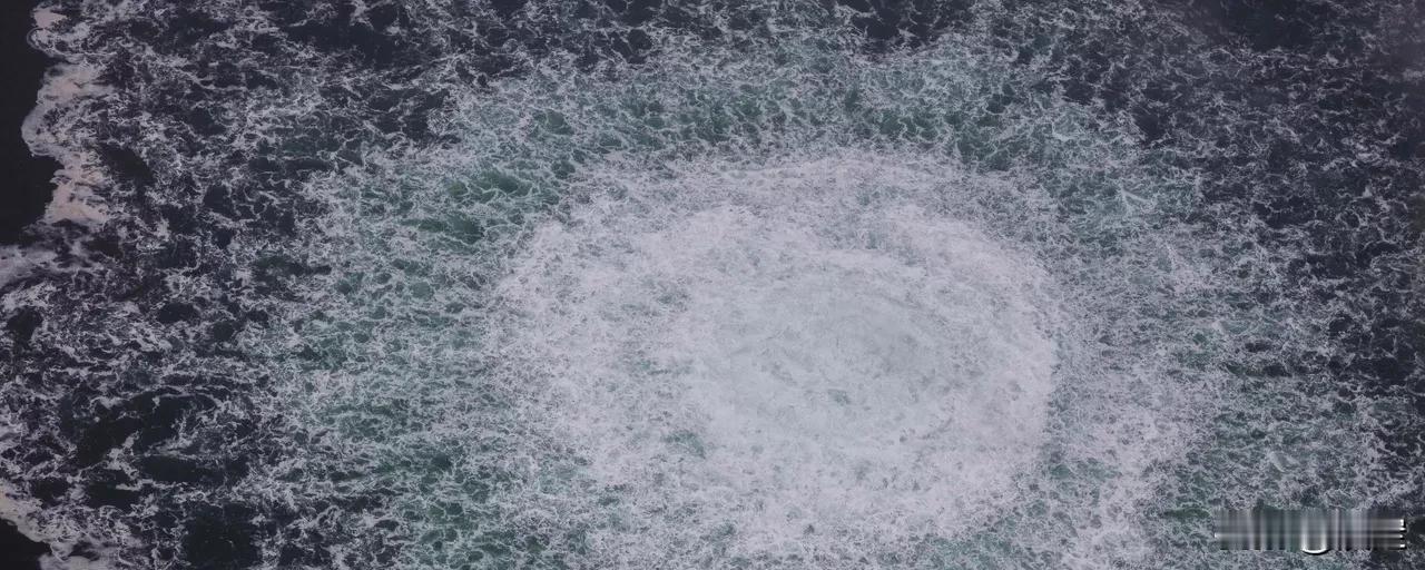 欧洲为了灭掉俄罗斯全力支持乌克兰

 德国《明镜》周刊援报道，乌军前总司令瓦列里